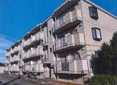 神奈川県伊勢原市マンション一括外観画像